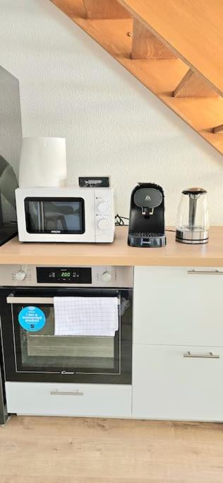 T3 Duplex Thonon Centre - Parking - Gare - Thermes Екстер'єр фото